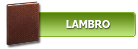 Copertine LAMBRO